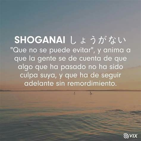 shoganai significado|Shoganai y shikataganai... ¡qué le vamos a hacer!